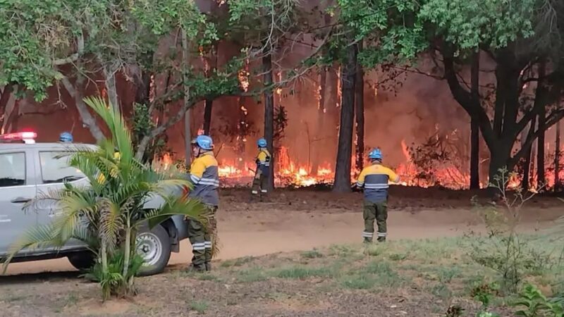 Incendios forestales: Corrientes lleva el 10% del territorio arrasado