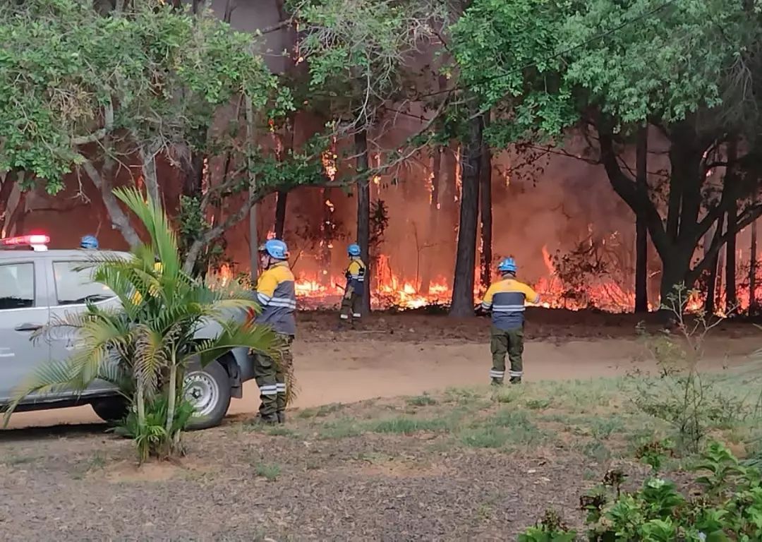 Incendios forestales: Corrientes lleva el 10% del territorio arrasado