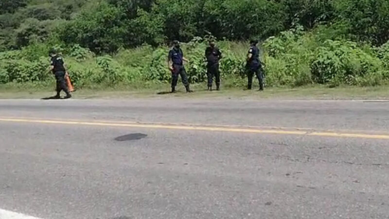 San Pedro: hallaron a un hombre sin vida al costado de Ruta 34