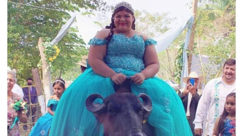 Quinceañera llega en un búfalo a su fiesta y se vuelve viral en redes