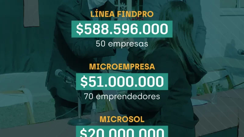 Emprendedores, empresas y productores. Jujuy entregó casi 8 millones de dólares en financiamiento
