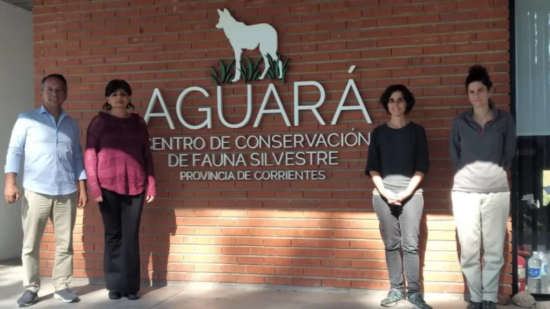 CAFAJU. Jujuy avanza en un convenio de colaboración para la recuperación fauna nativa
