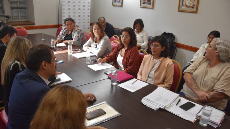 La Comisión de Salud Pública se reunió con representantes del programa nacional ENIA